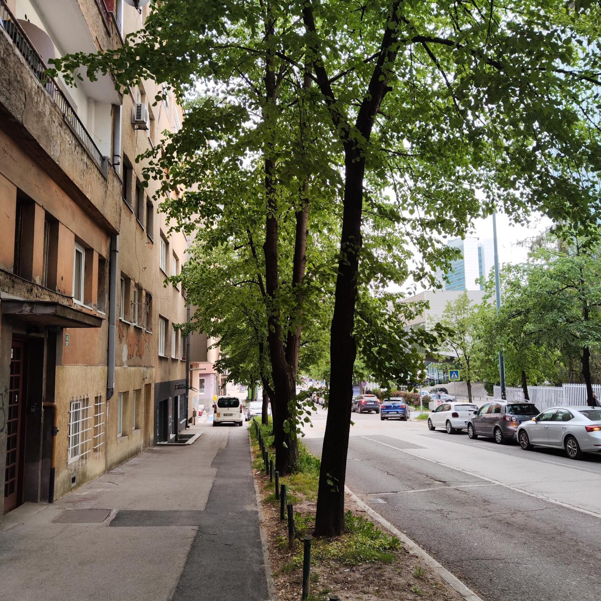 Apartment Marijin Dvor Deluxe Sarajevo Eksteriør bilde